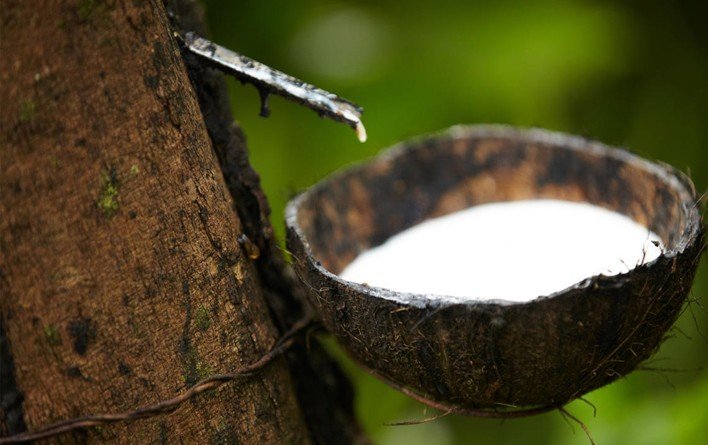 Lire la suite à propos de l’article Côte d’Ivoire : le prix du caoutchouc naturel retombe à 474 FCFA